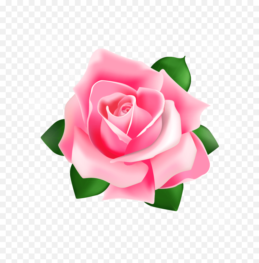 Rose Pink Pink Rose Vector Png Pink Roses Png Free Transparent Png Images Pngaaa Com