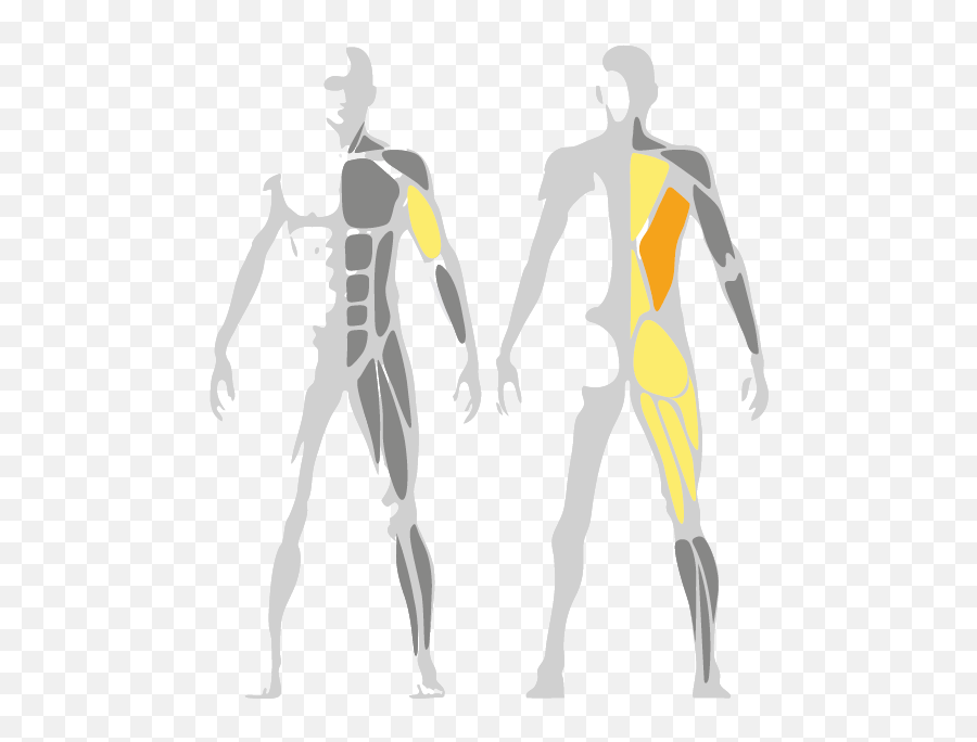 Plate Loaded Gym Equipment All Technogym Products Technogym Artis Leg Curl Png Muscles Png Free Transparent Png Images Pngaaa Com