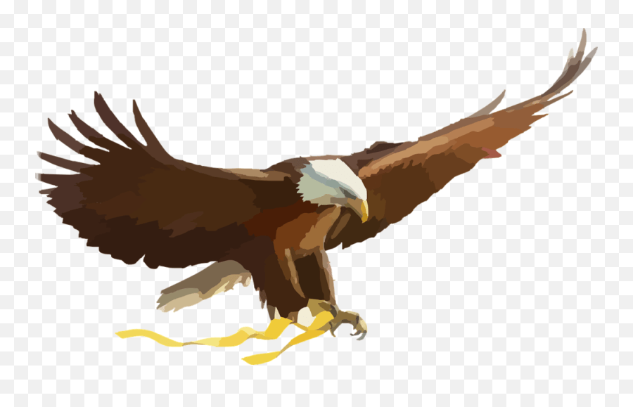 Golden Eagle Clipart Elang Eagle Cartoon Png,Golden Eagle Png free