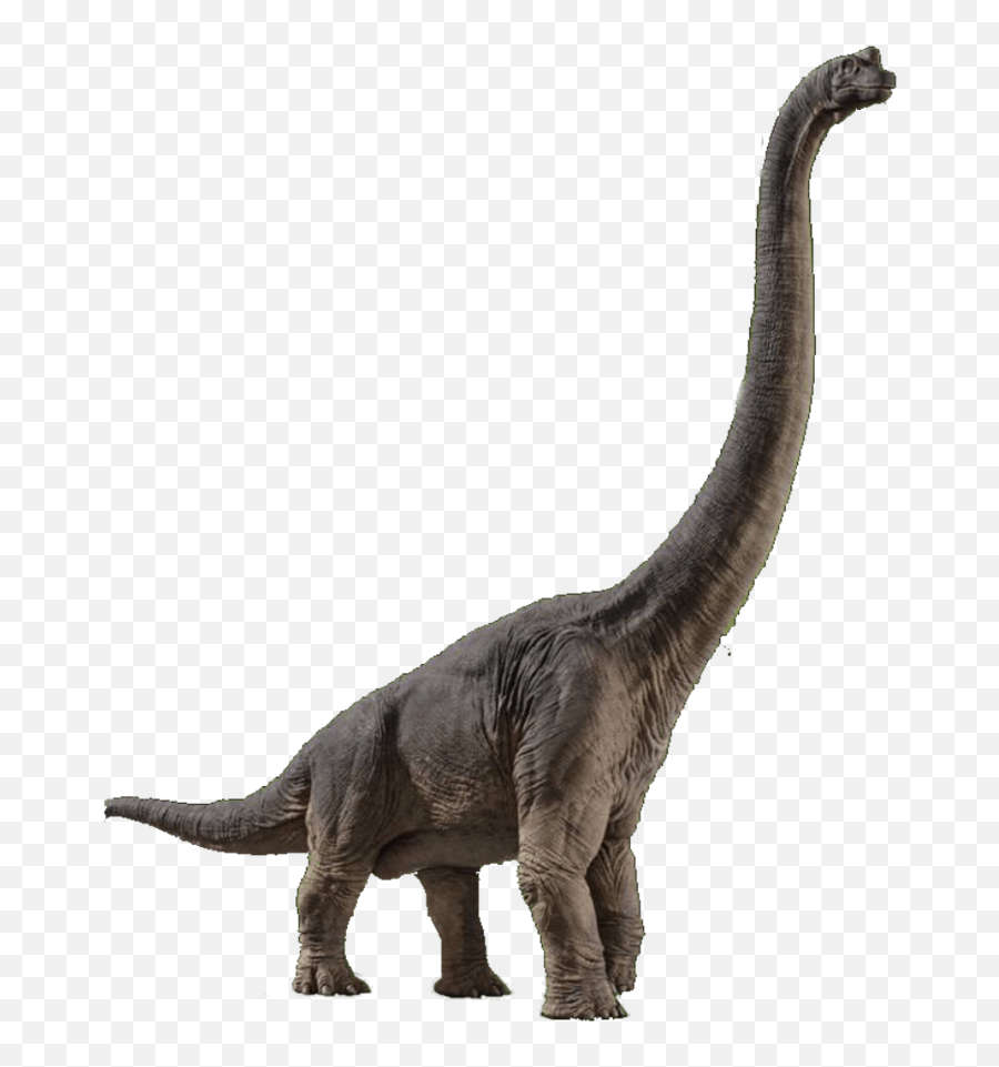 Brachiosaurus Png 1 Image Brachiosaurus Jurassic World Dinosaurs