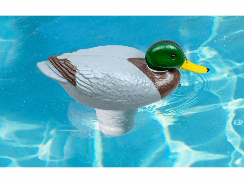 POOL360 8/CS CLORIDUCK MALLARD FLOATING CHEMICAL FEEDER