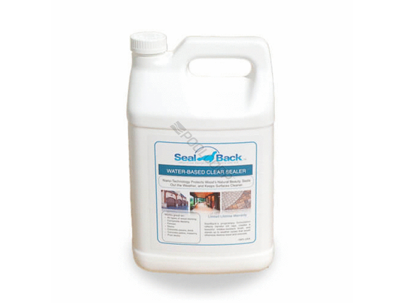 POOL360 852763003114 SEALBACK CLEAR ACRYLIC SEALER