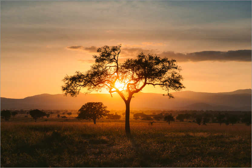 Posters et tableaux de Coucher de soleil dans la savane de