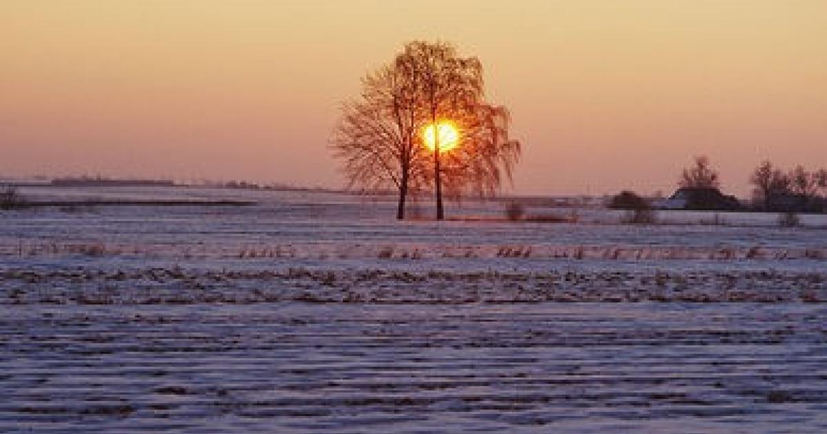 Wintersonnenwende Die Tage werden wieder länger profil.at