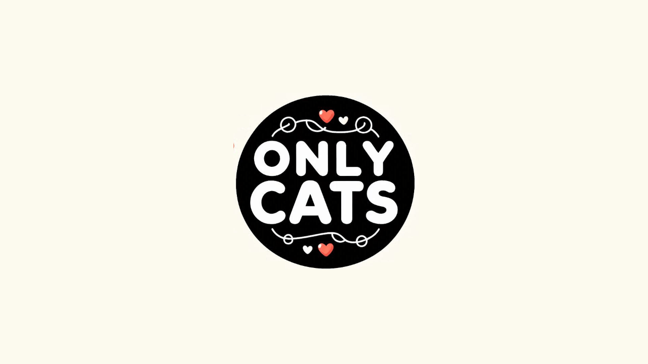 Only Cats | TV App | Roku Channel Store | Roku