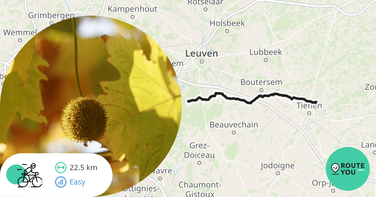 SintMargrieteHoutem OudHeverlee Racefietsroute RouteYou