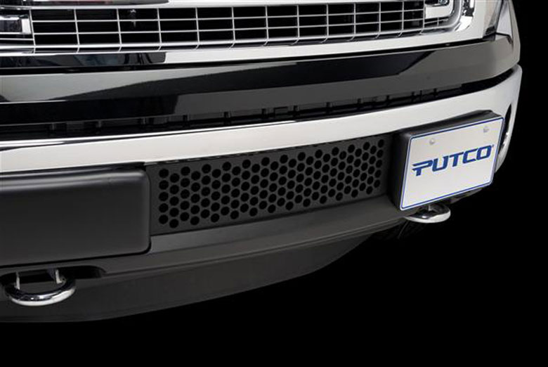 2012 Ford F-150 Custom Grilles | Mesh Grilles