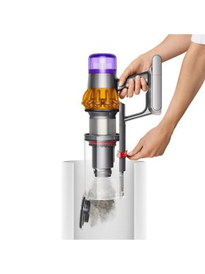 V15 Detect Total Clean