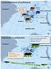 High levels of pollutants in polar bears from the Barents Sea what
