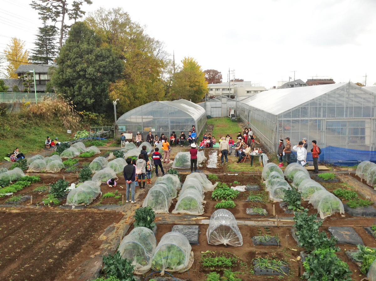 シェア畑 三鷹台(三鷹市) 体験農園なら貸し農園（市民農園）のシェア畑
