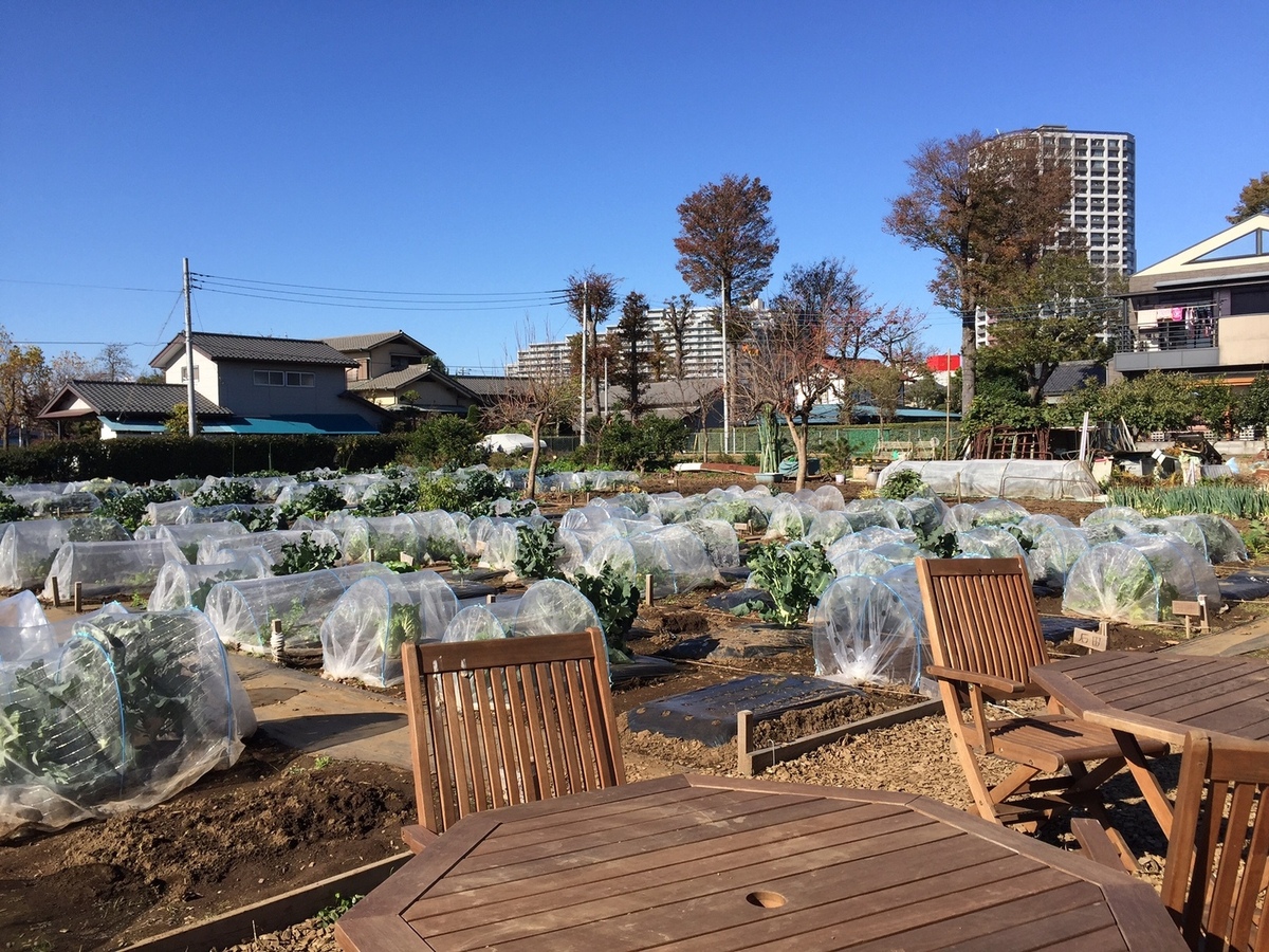 シェア畑 西船橋(船橋市) 体験農園なら貸し農園（市民農園）のシェア畑