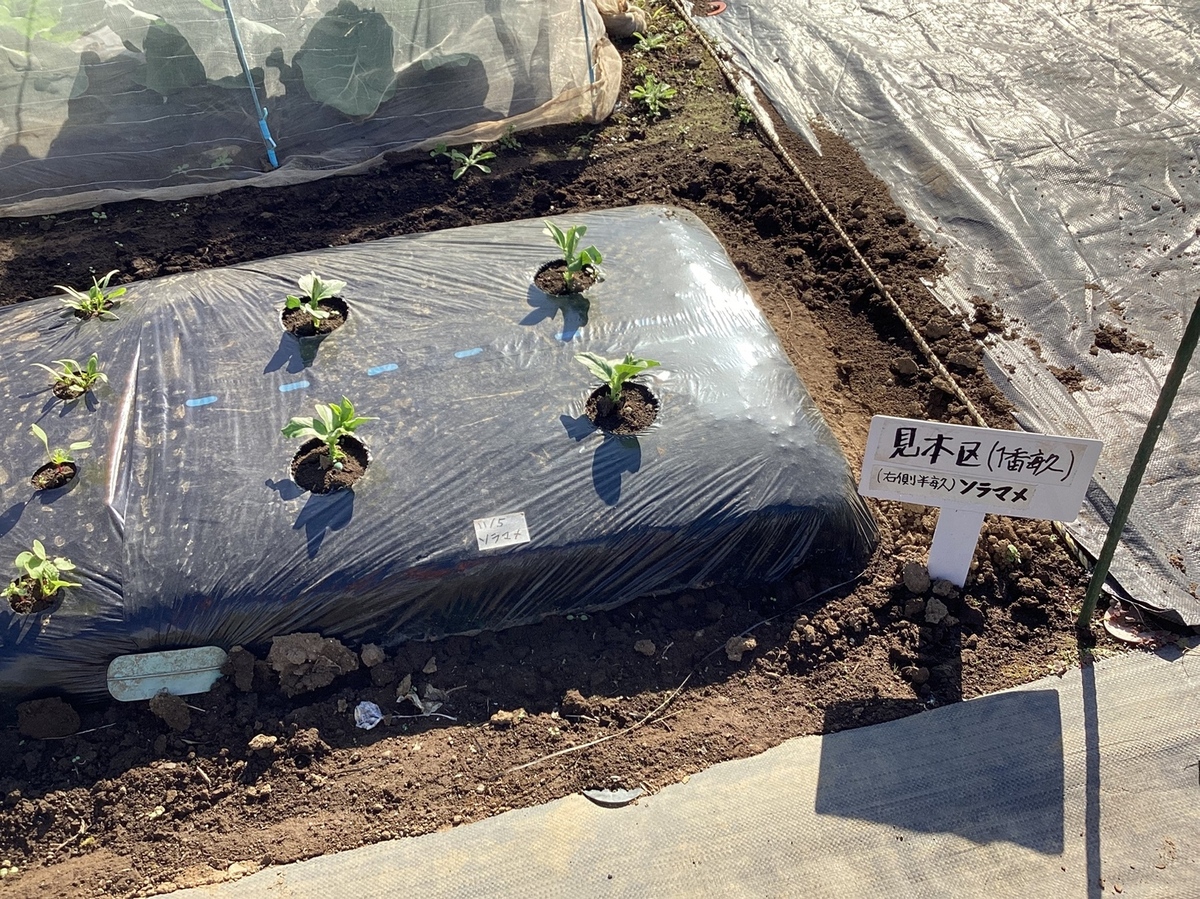 レンタル畑で気軽に始める週末農業 みんなのブログ 体験農園なら貸し農園（市民農園）のシェア畑