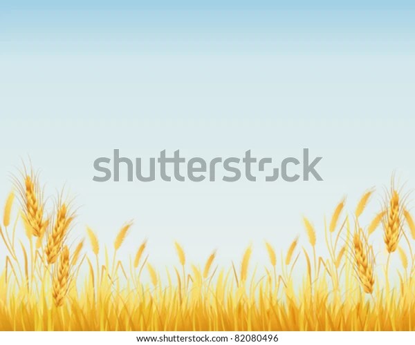 Crop Background Stock Vector (Royalty Free) 82080496
