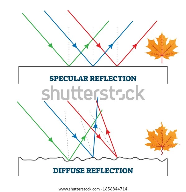 Specular Diffuse Reflection Vector Illustration Diagram Stock Vector (Royalty Free) 1656844714