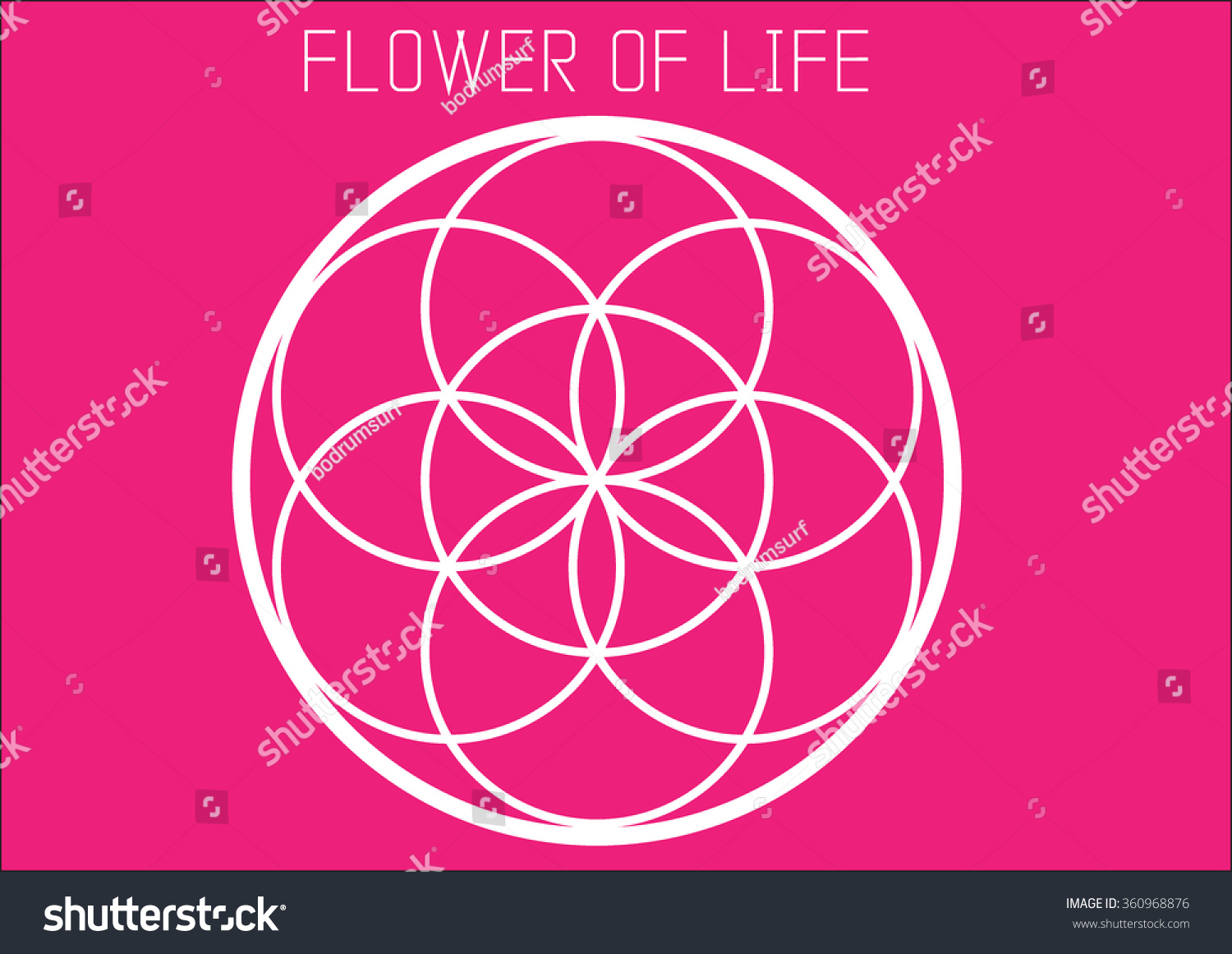 Flower of life. Royalty Free Stock Vector 360968876