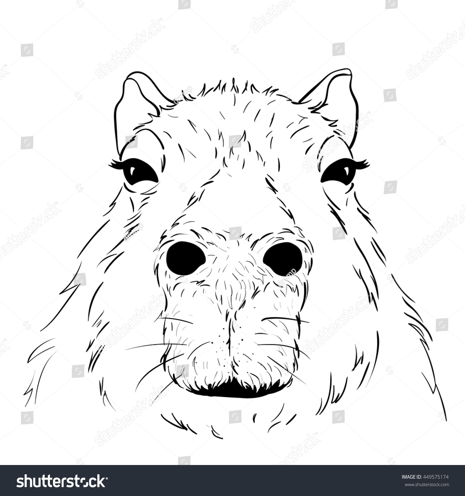 Vector Illustrated Portrait of Capybara isolated Royalty Free Stock