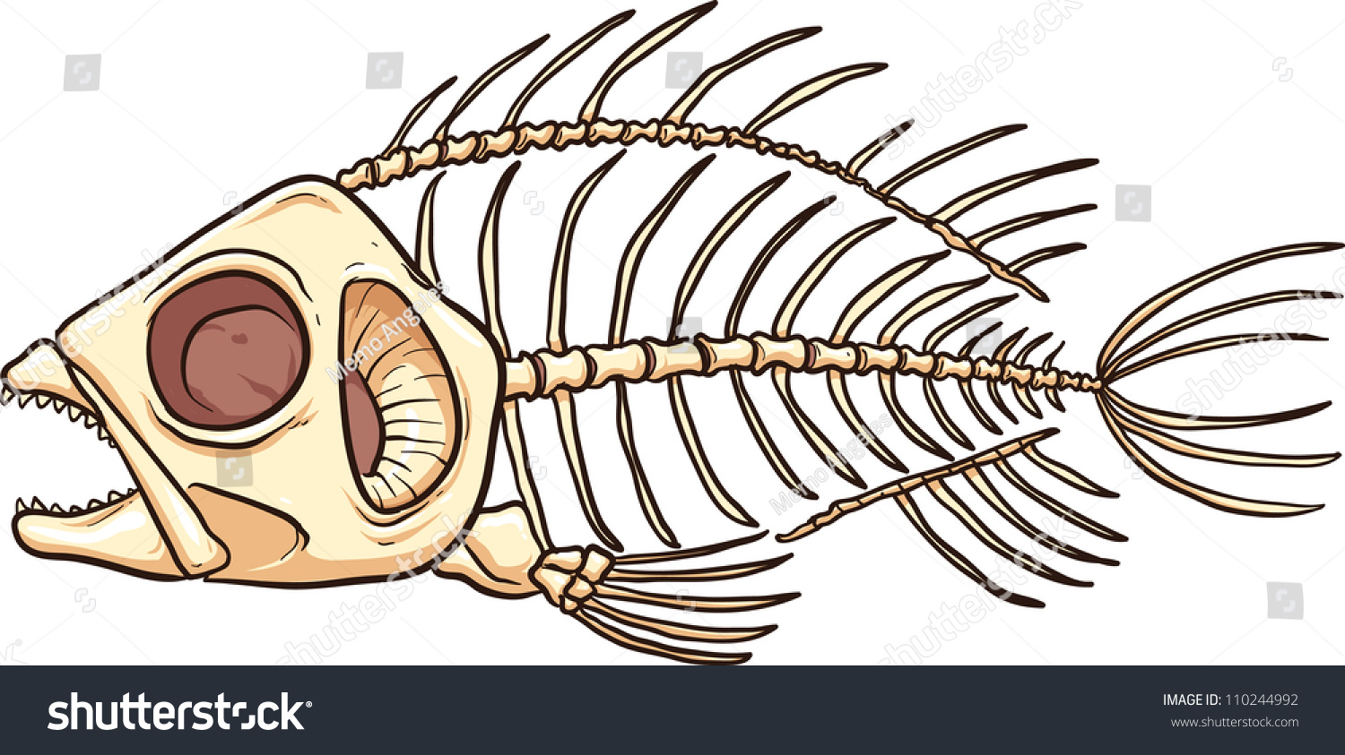 Fish Skeleton. Vector Illustration With Simple Gradients Fish Skeleton. Vector Illustration With Simple Gradients
