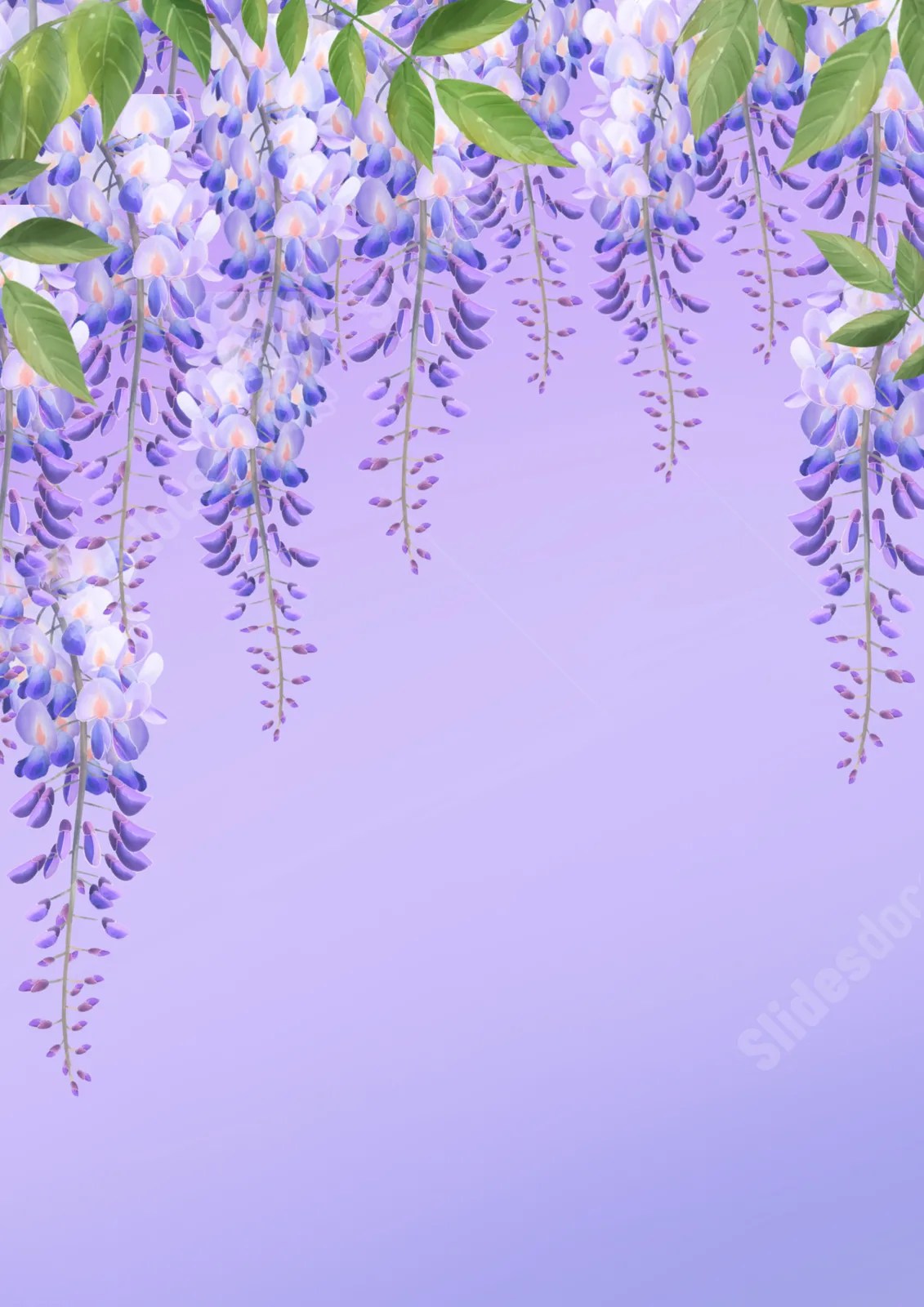 Seamless Wisteria Flowers Page Border And Printable Background in Word