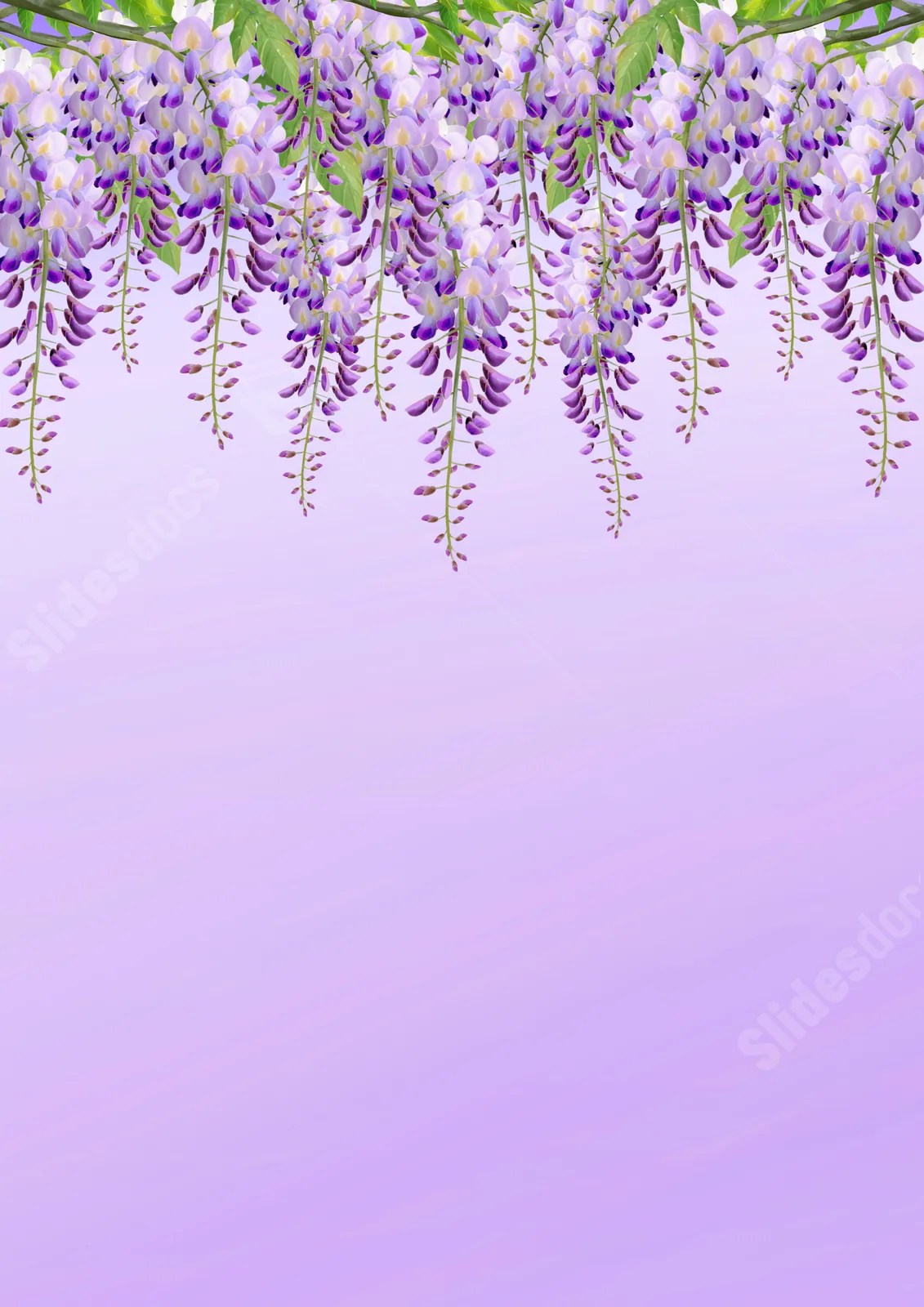 Seamless Wisteria Flowers Page Border And Printable Background in Word