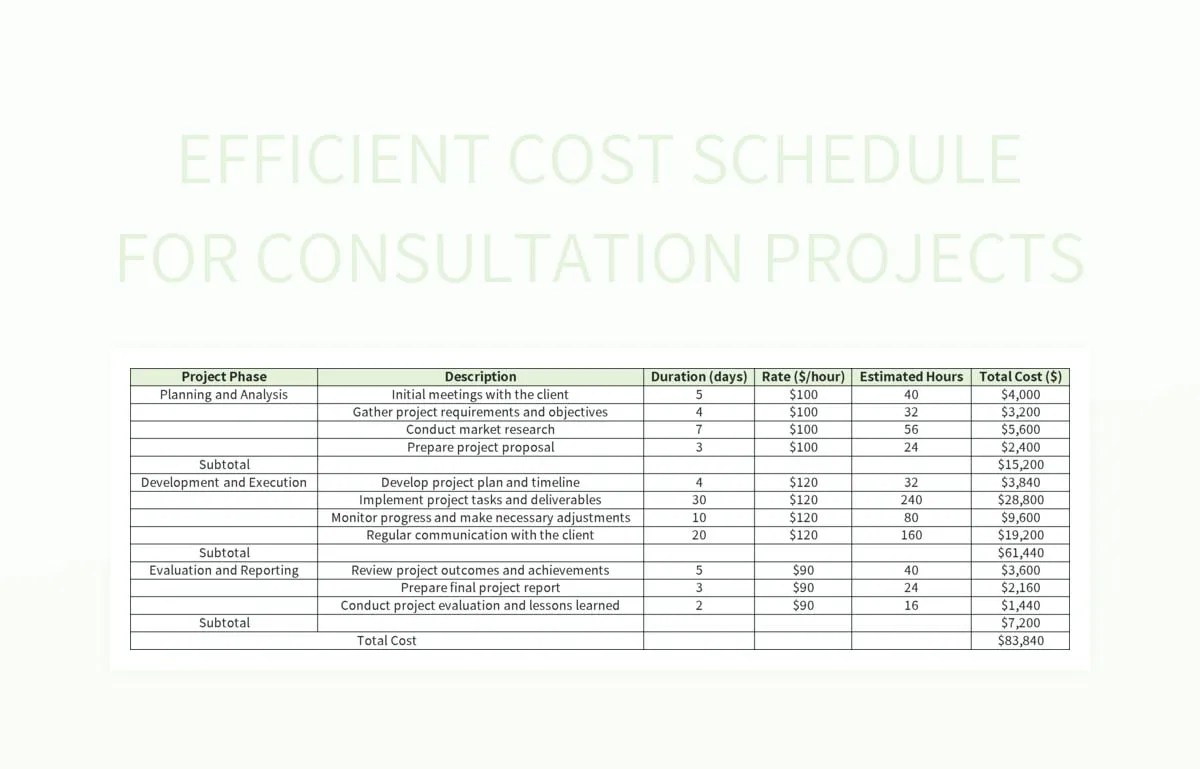 Efficient Cost Schedule For Consultation Projects Excel Template And
