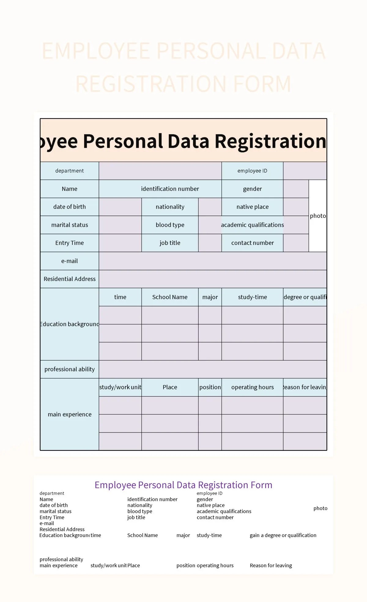 Employee Personal Data Registration Form Excel Template And Google