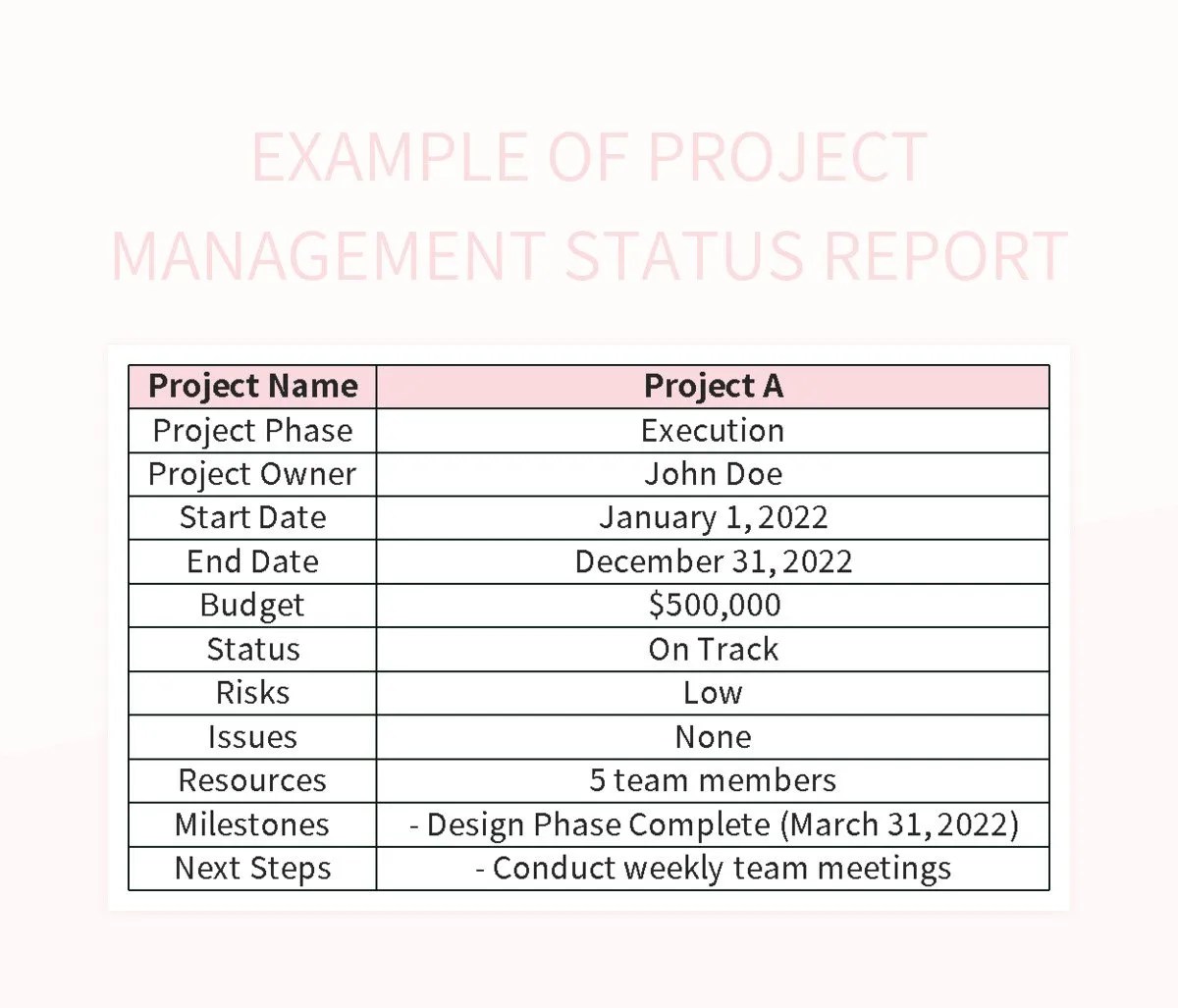 Example Of Project Management Status Report Excel Template And Google