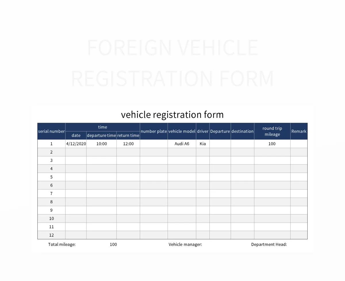 Foreign Vehicle Registration Form Excel Template And Google Sheets File