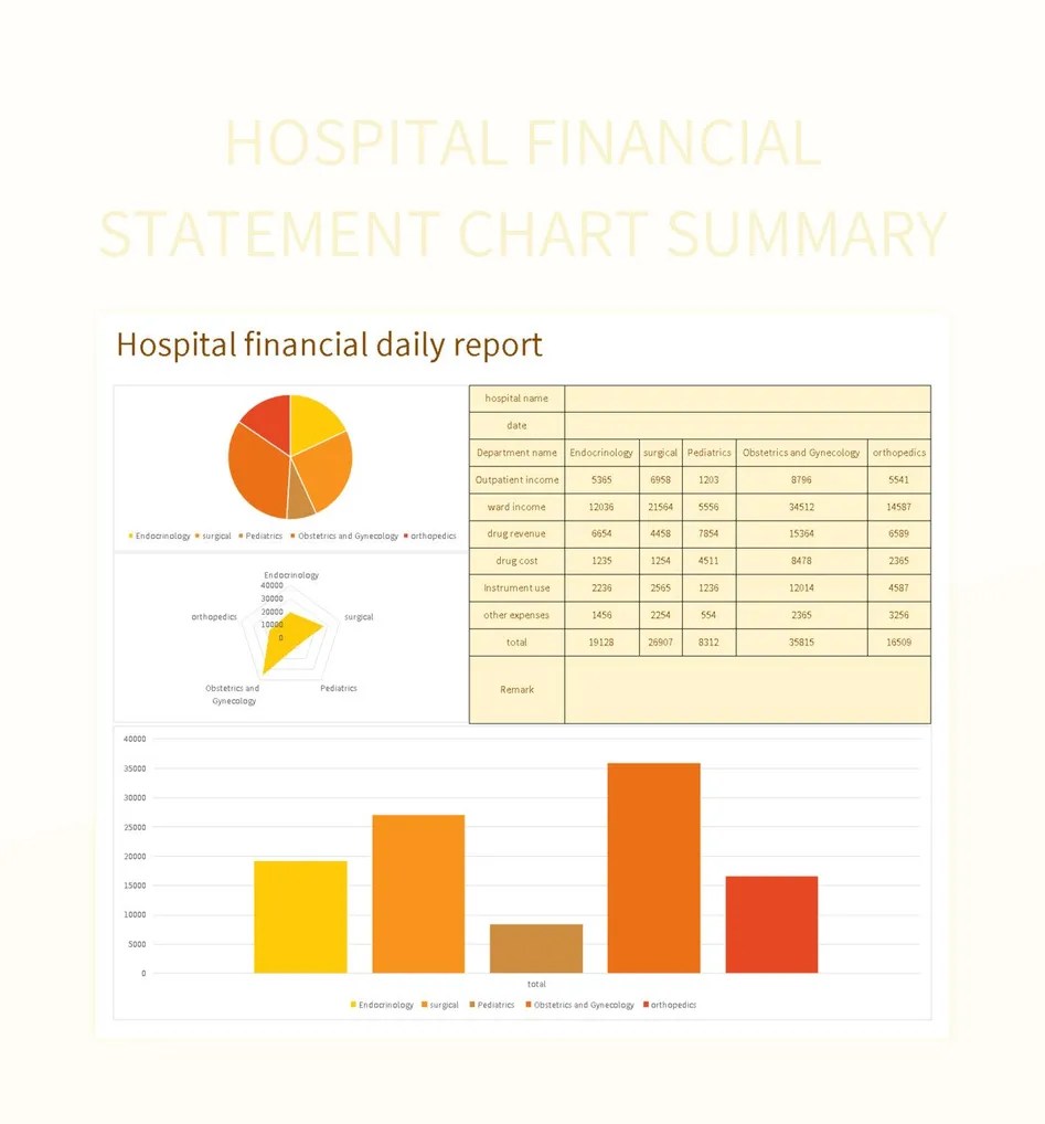 Hospital Financial Statement Chart Summary Excel Template And Google
