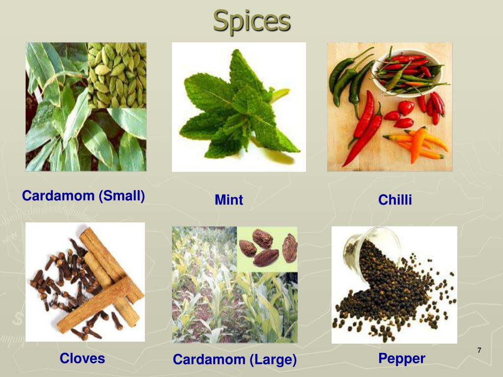 PPT ROLE OF SPICES IN PROCESSED FOODS PowerPoint Presentation, free