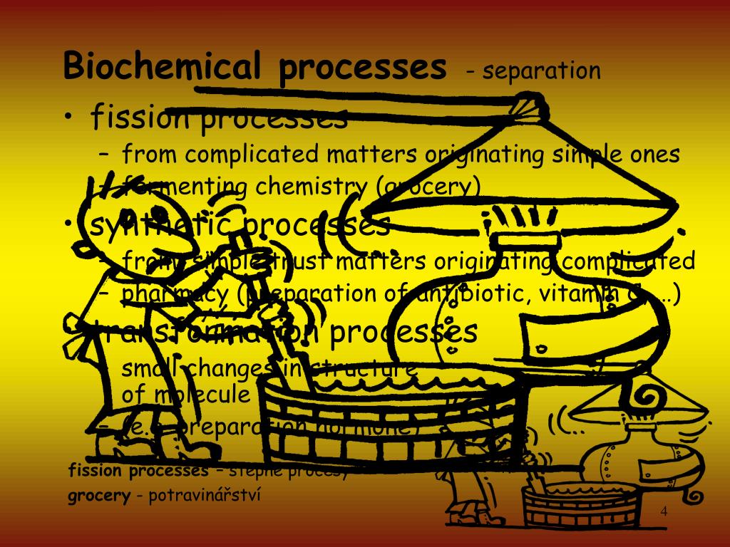 PPT Beer and its production PowerPoint Presentation, free download