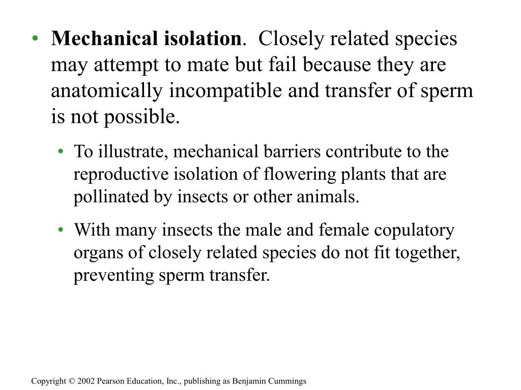 PPT CHAPTER 24 THE ORIGIN OF SPECIES PowerPoint Presentation, free