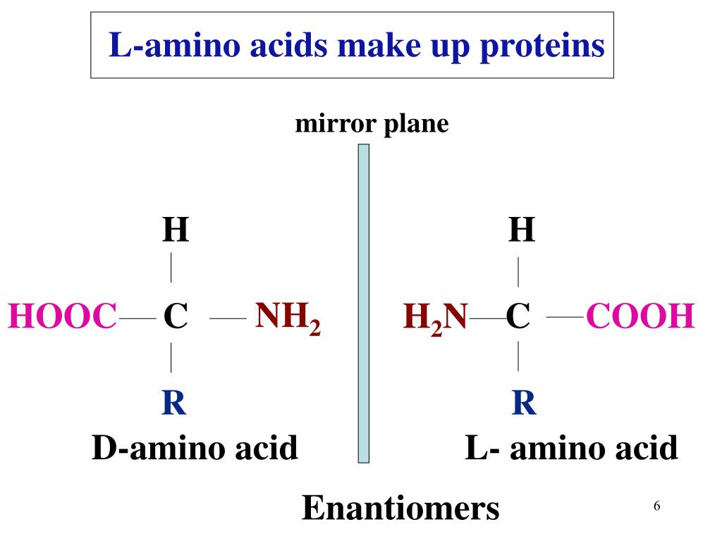 PPT PROTEINS & ENZYMES PowerPoint Presentation, free download ID