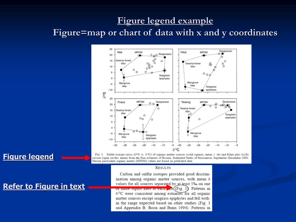 PPT Feeding Frenzy Report PowerPoint Presentation, free download ID