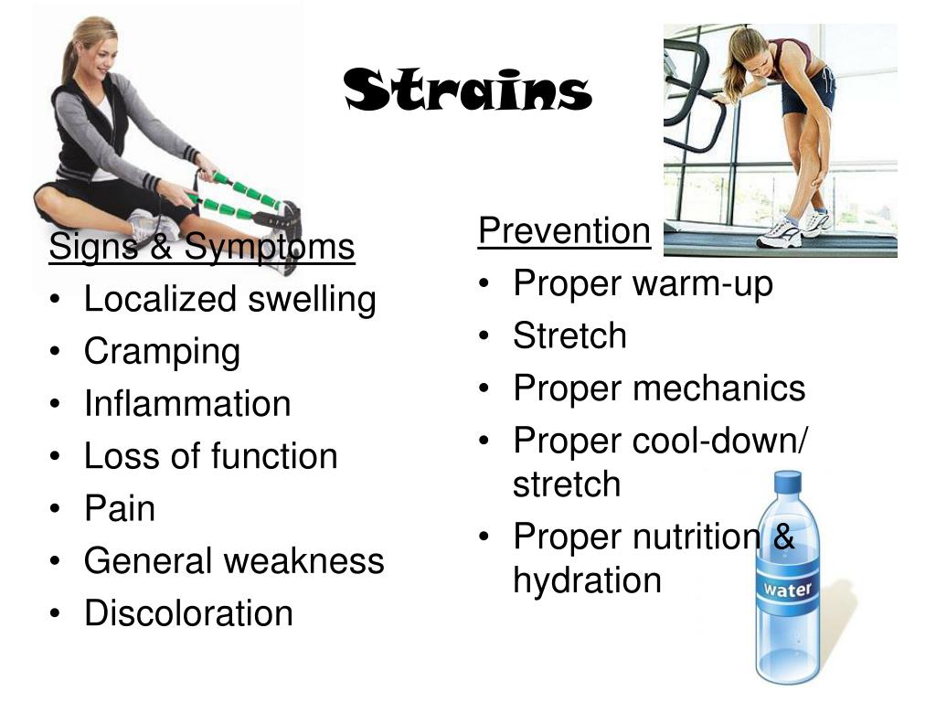 PPT Muscular System PowerPoint Presentation, free download ID1016900