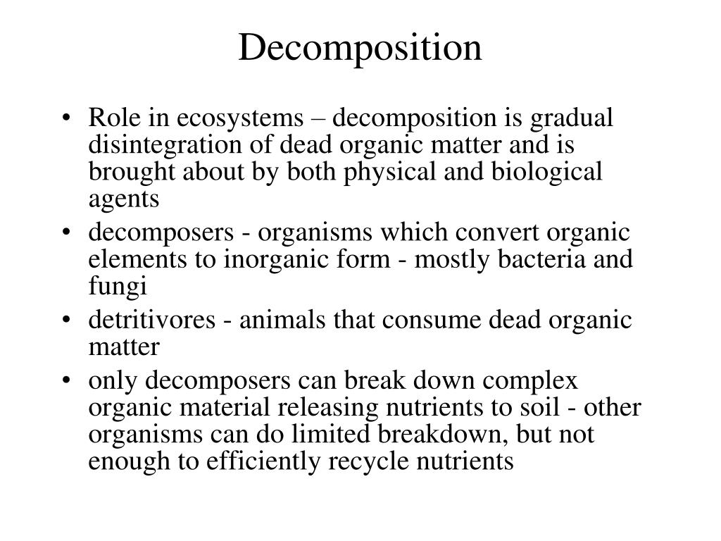 PPT Ecosystem Ecology PowerPoint Presentation, free download ID1019041