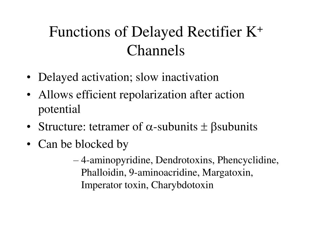 PPT Potassium Channels PowerPoint Presentation, free download ID