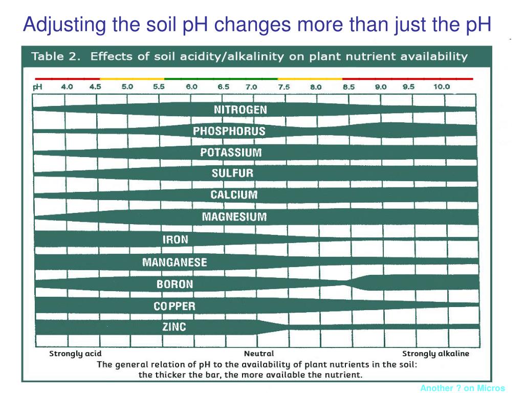 PPT FRUIT GROWERS LABORATORY, INC. PowerPoint Presentation, free