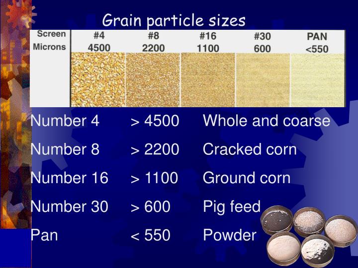 PPT Ruminal acidosis Part 1 PowerPoint Presentation ID1032551