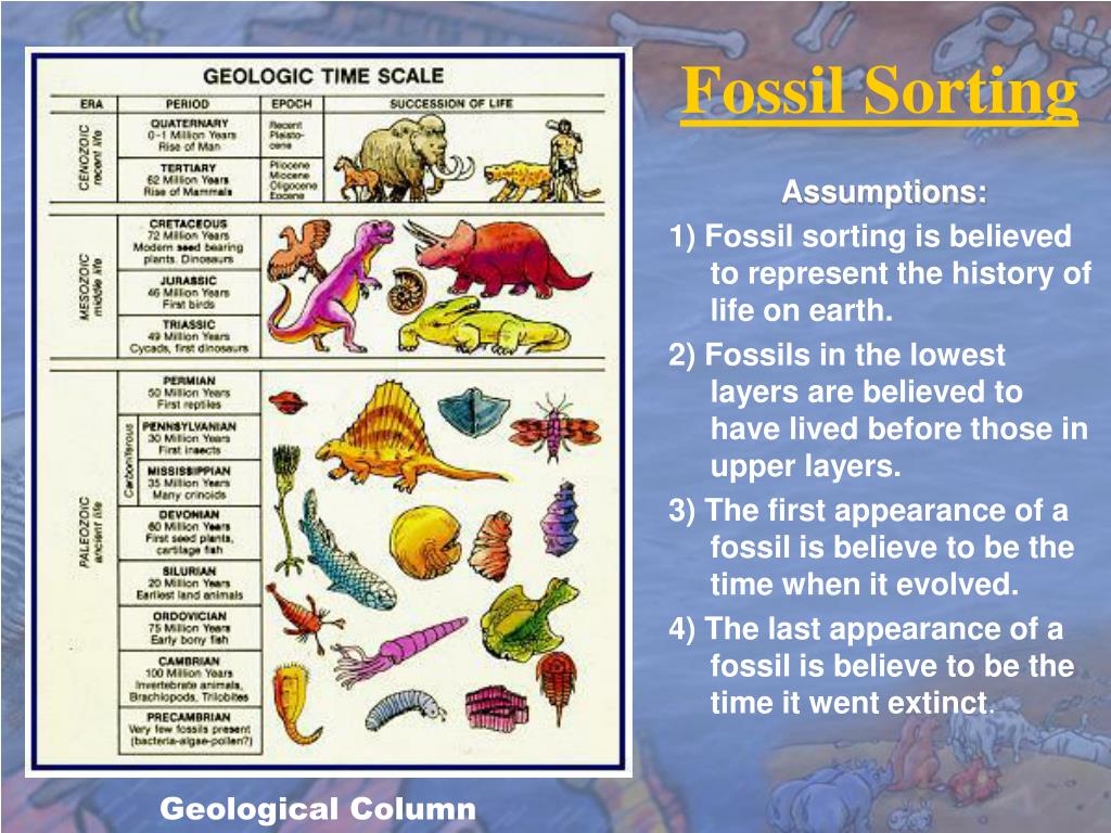 PPT Geology, the Fossil Record and Noah’s Flood PowerPoint