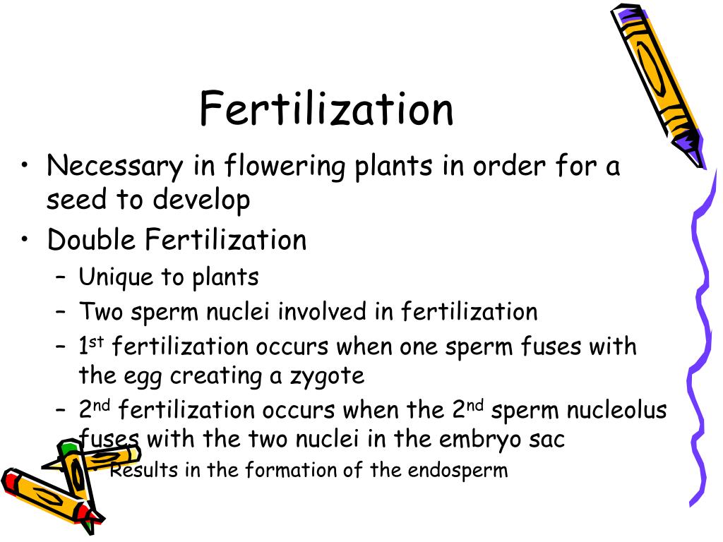 PPT Colorado Agriscience Plant Science PowerPoint Presentation, free download ID1035944