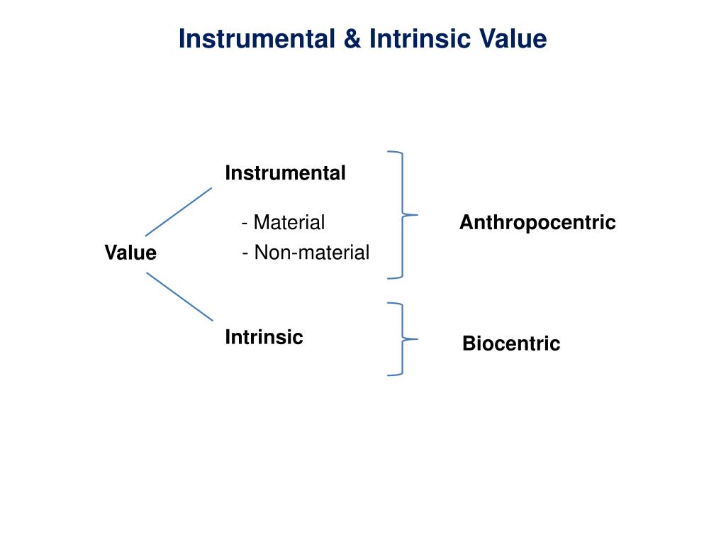 PPT Conservation Values & Ethics PowerPoint Presentation, free download ID1038032