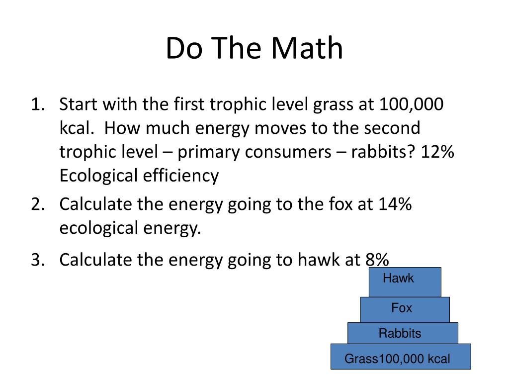 PPT Chapter 3 Ecosystem Ecology PowerPoint Presentation, free