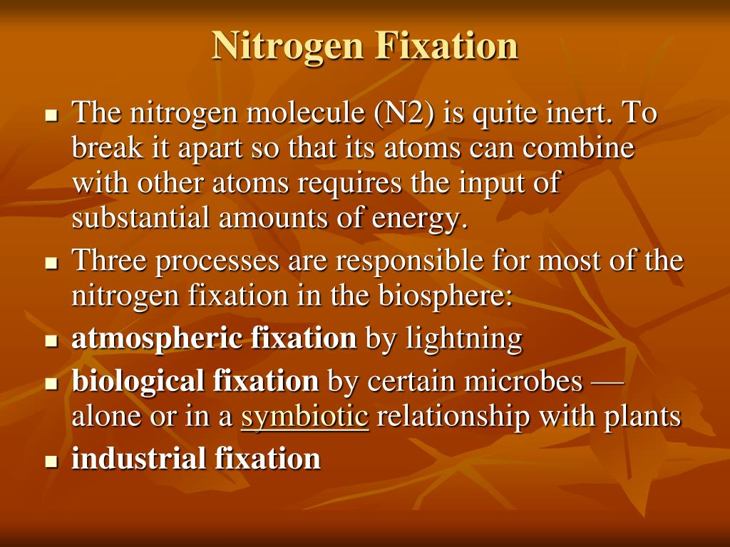 PPT The Nitrogen Cycle PowerPoint Presentation, free download ID1039093