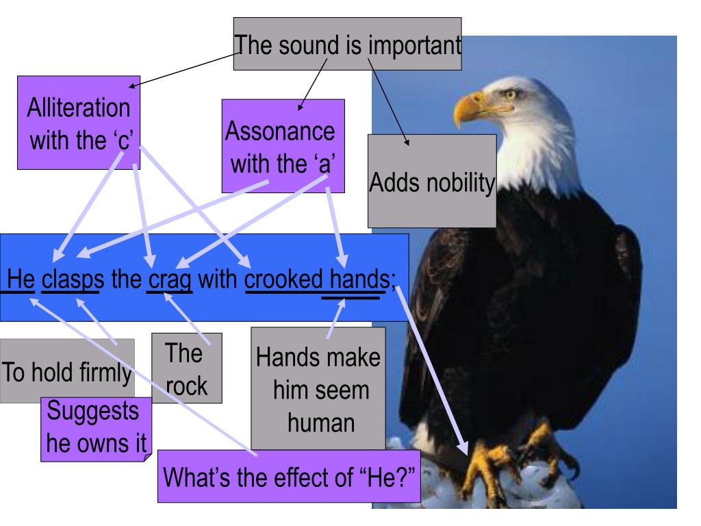 PPT The Eagle by Alfred Tennyson PowerPoint Presentation, free