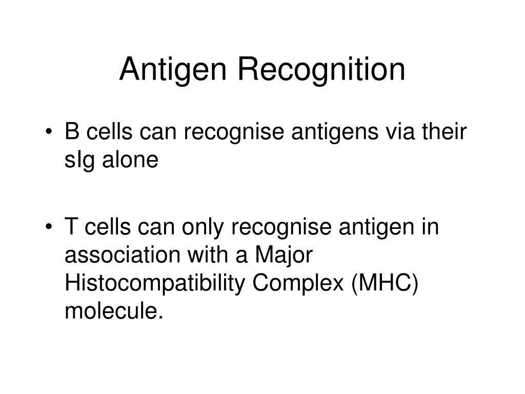 PPT Introduction to the Immune System PowerPoint Presentation, free