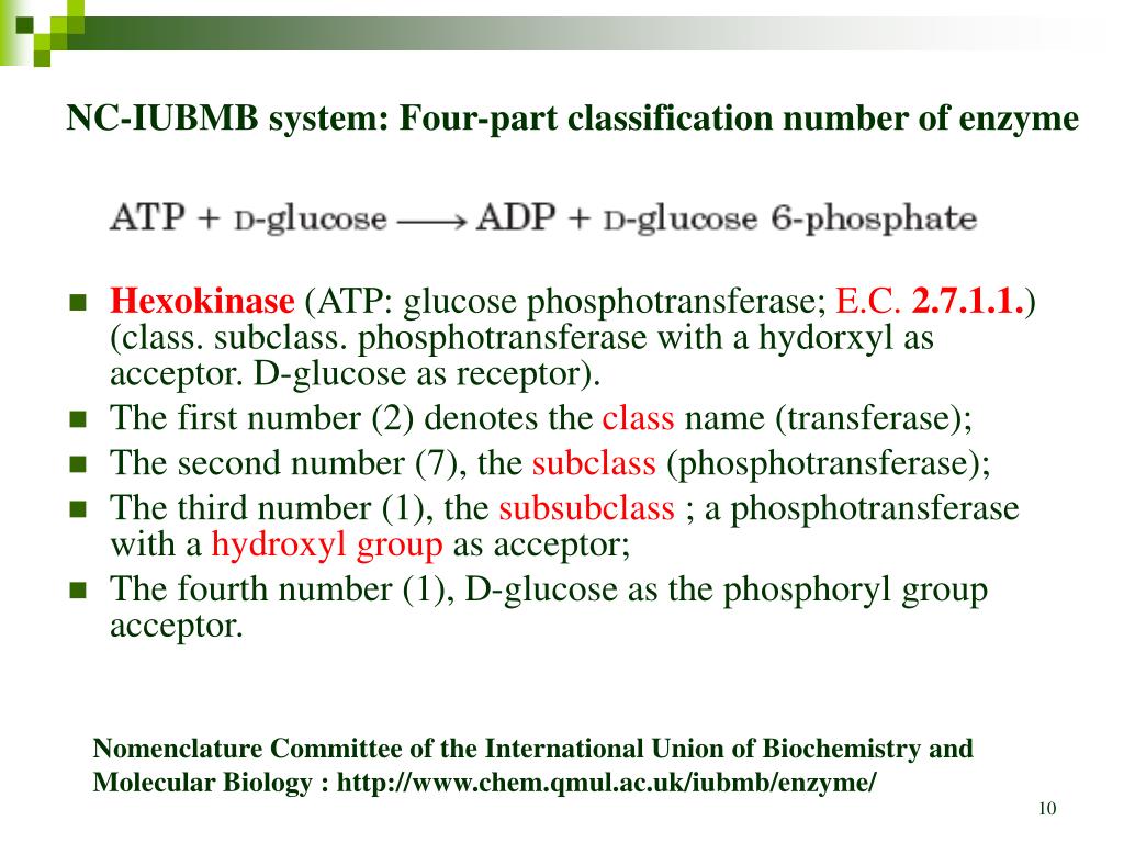PPT Chapter 6 Enzymes PowerPoint Presentation, free download ID1043557