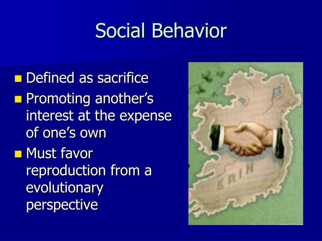 PPT Social Behavior, Kinship Behavior, Culture, Tradition, and