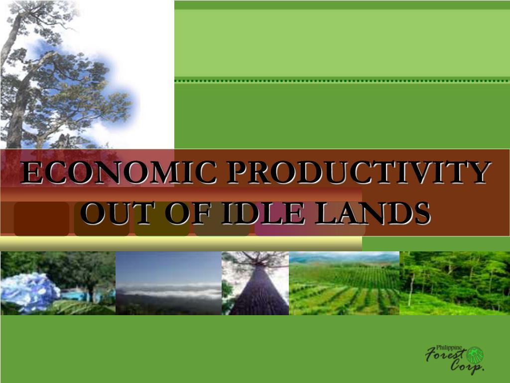 PPT ECONOMIC PRODUCTIVITY OUT OF IDLE LANDS PowerPoint Presentation
