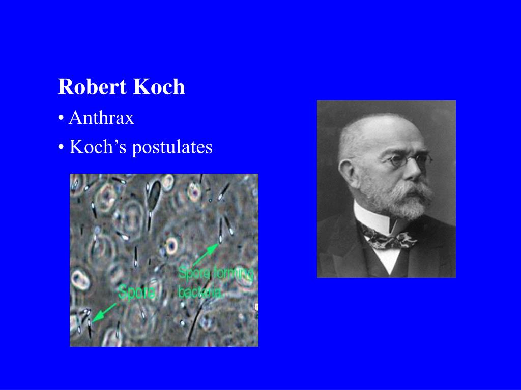 PPT History PowerPoint Presentation, free download ID1049364