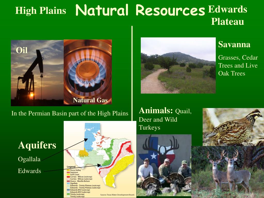 PPT Coastal Plains PowerPoint Presentation, free download ID1055903